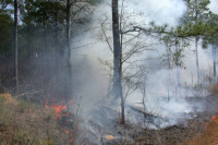 Лесной пожар на территории Анапы полностью потушен