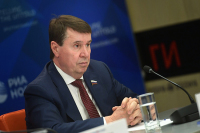 Цеков прокомментировал новые планы Зеленского по Крыму