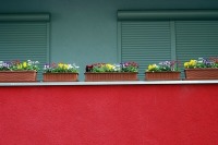 Юрист рассказал об угрозе разведения цветов на балконе для прохожих