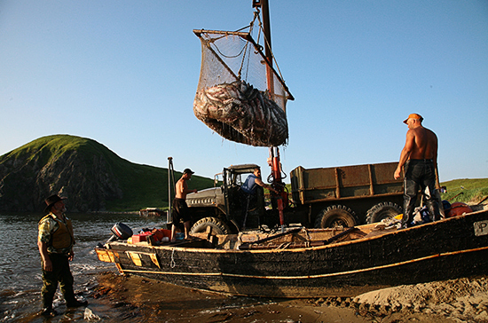Правила ведения промышленного рыболовства уточнят законом