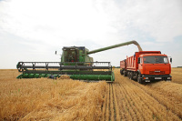 Патрушев: в 2020 году урожай зерна составит 122,5 млн тонн