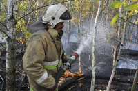 В Воронежскую область для тушения лесных пожаров направили спасателей