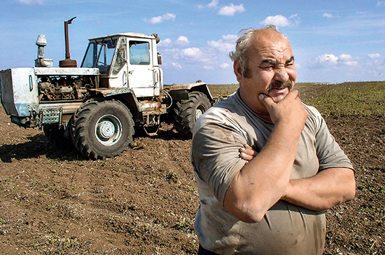 На гранты для малого агробизнеса в 2020 году выделят 13 млрд рублей
