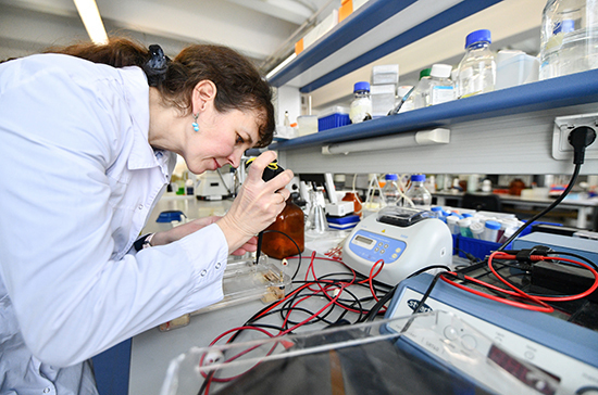 Государство поддержит строительство высокотехнологичных лабораторий для молодых ученых