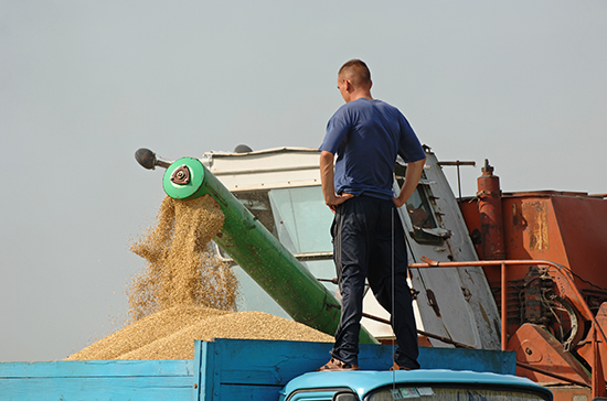 В России предлагают создать систему прослеживаемости зерна