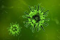 Китайский эксперт: коронавирус приобрёл сильную живучесть