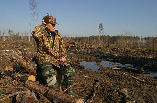 В Совфеде предлагают запретить находиться в лесу с техникой для заготовки древесины без документов