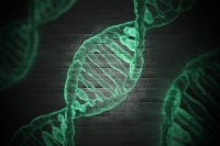 Учёный объяснил, как ДНК животных поможет полиции ловить преступников