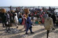 В Сенегале более ста человек заразились неизвестной болезнью