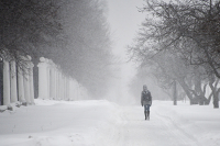 Во Владивостоке ввели режим ЧС из-за снежного циклона