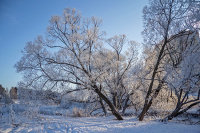 Синоптики предупредили о снеге в московском регионе