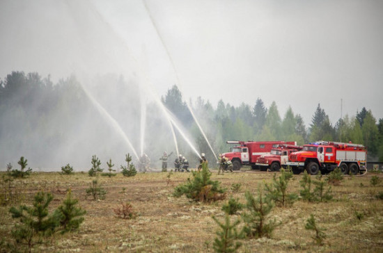 Регионы смогут сами организовывать тушение природных пожаров
