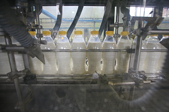 Маркировку скоропортящейся молочной продукции предложили упростить 