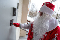 Петербуржцам рассказали, как COVID-19 повлиял на стоимость вызова Деда Мороза и Снегурочки