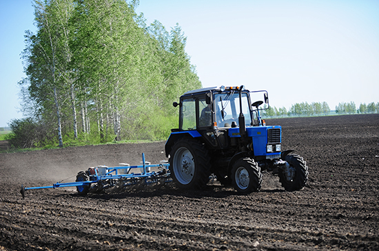 Малому бизнесу разрешат использовать селекционные достижения
