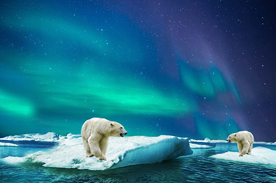 Почему России нужна Арктика