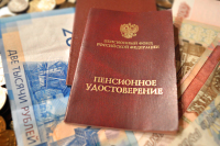 «Единая Россия» возобновит диалог с кабмином об индексации пенсий работающим пенсионерам