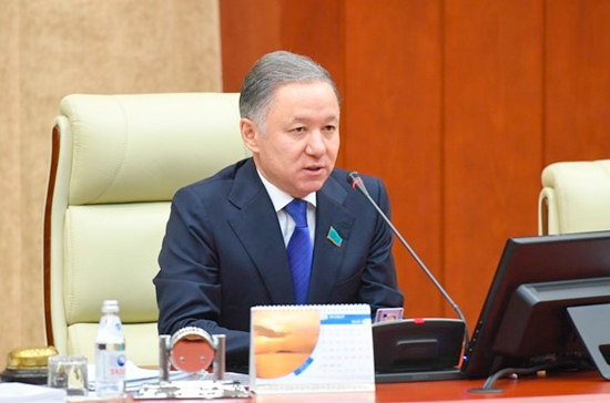 Нигматулина переизбрали спикером мажилиса Казахстана