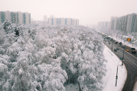 Синоптик рассказал о погоде в Московском регионе на неделю