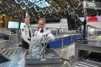 СМИ: В России хотят уменьшить размер бесплатного багажа авиапассажиров