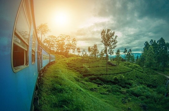 Шри-Ланка открыла границы для туристов