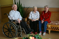 Ответственность за работу домов престарелых в жилых домах хотят ужесточить