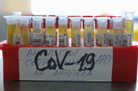 В России впервые с ноября выявили менее 20 тысяч случаев заражения коронавирусом