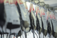 За неправильное хранение донорской крови привлекут к ответственности