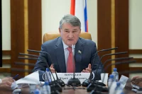 Для реализации лесной реформы примут 27 подзаконных актов