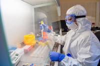 В России готовы начать испытания нейтрализующего COVID-19 антитела, заявил академик