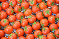 В Россию разрешили ввозить томаты и перцы с 13 предприятий Армении