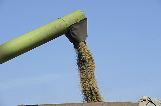 В России с 2 июня будет действовать гибкая экспортная пошлина на пшеницу