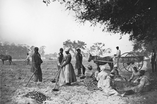 Рабство в США отменили в несколько этапов