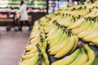 Ретейлеры исключили проблемы с поставками бананов в Россию