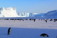 Как назвали Антарктиду открывшие ее русские мореплаватели