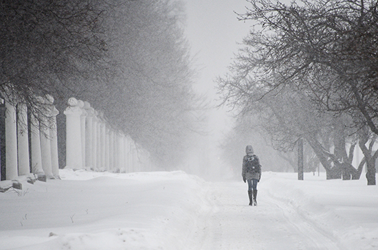 Синоптик рассказал о приближении нового «периода снегопада» в Москве