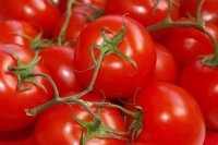 Чем полезны томаты