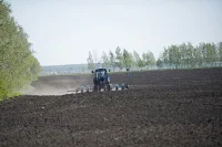 На Дону примут меры против распашки пастбищ и сенокосов