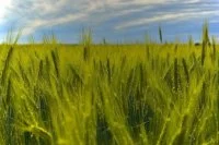 ЕС следом за Россией вводит экомаркировку удобрений