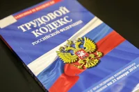 Приоритет Конституции закрепят в Трудовом кодексе