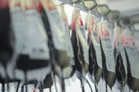 Ответственность за нарушения при хранении донорской крови хотят усилить
