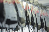 В КоАП могут уточнить ответственность за неправильное хранение донорской крови  