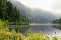 В Белгородской области планируют очистить 500 км речных берегов