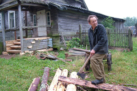 Отчётность граждан при заготовке дров предлагают упростить