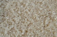 Минсельхоз не ожидает резкого подорожания риса в России