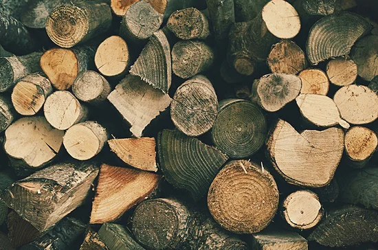 Фото: pixabay