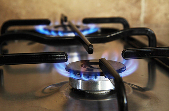 ТПП предложила принять профстандарт обслуживания жилых домов с газовой плитой 