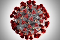 В Индии обнаружили новую разновидность коронавируса