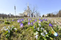 Отозвать совпавший с майскими каникулами отпуск можно по согласованию с работодателем