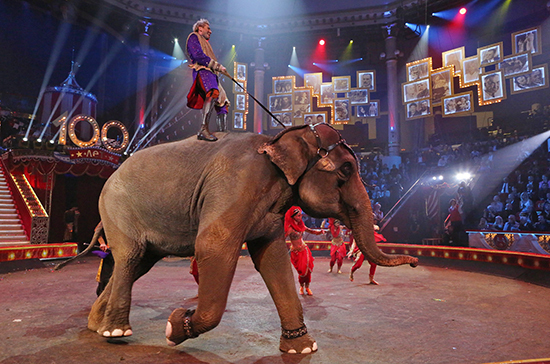 Кабмин утвердил правила предоставления грантов на развитие циркового искусства